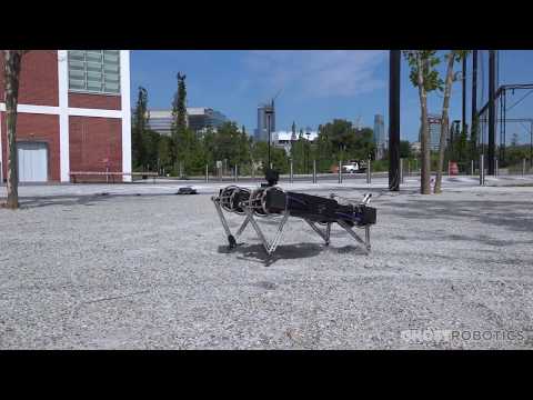 Минитавр – домашний робопитомец будущего (видео)