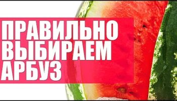Как правильно выбрать арбуз и дыню