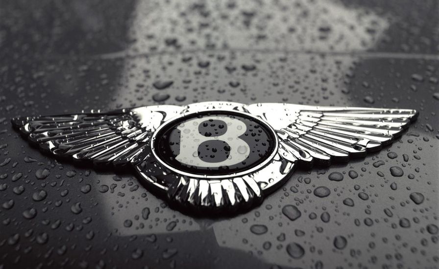 Авто из грибов и медуз: Bentley выпустит автомобили для веганов