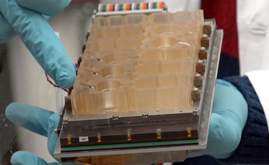 Ученые создали «женщину на чипе»