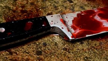 В Николаеве арестовали жестокого убийцу местного историка-краеведа