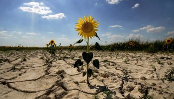 В Украину идет антициклон Afra: какой будет погода 29 июня